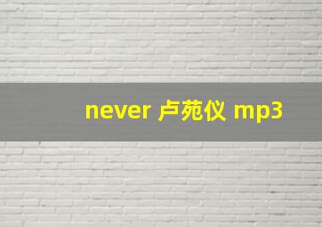 never 卢苑仪 mp3